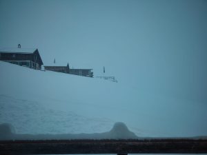 IMG-20260216-WA0017